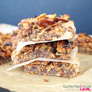 Paleo Squares free Vegan  Free recipe bar Apple Nut protein Caramelized quinoa Gluten gluten