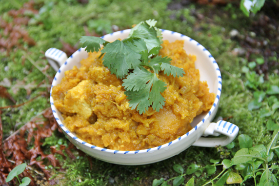Pumpkin & Tofu Curry | Active Vegetarian