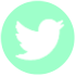 Twitter Social Media Icon