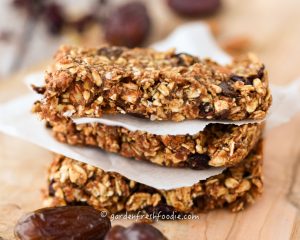 Gluten Free Crantastic Granola Bars