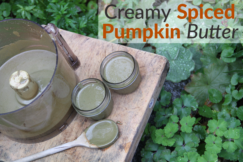 Creamy Spiced Pumpkin Butter 2