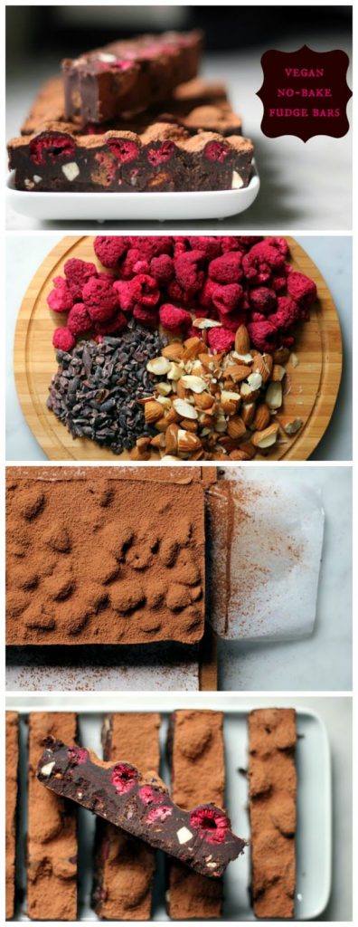 The Best (Vegan) No-Bake Fudge Bars Ever!