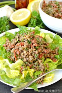 Best Plant Based Entree Recipes