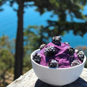 Vegan blackberry ice cream