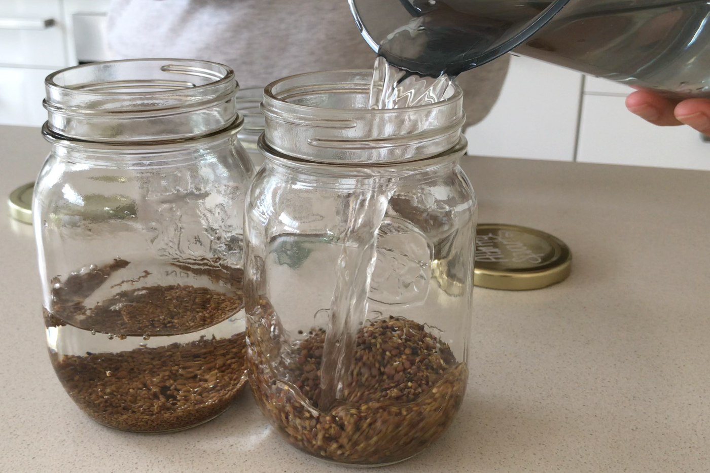 Soaking & Sprouting Guide: How to Soak and Sprout Grains, Nuts, Seeds ...