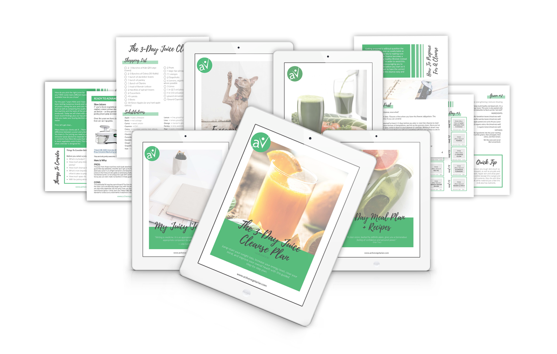 This is 3 day juice cleanse package example that includes all the juice recipes and meal plans also the schedule and shopping list for all the beginners