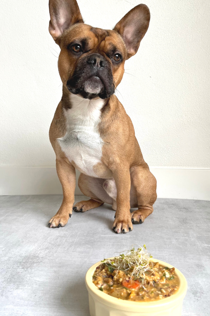 whole food plant based dog food recipe