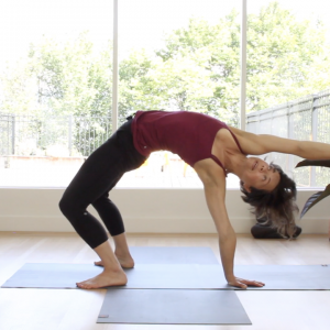 daily flow video image