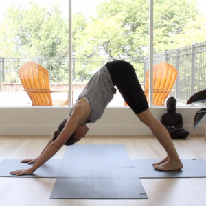 yoga 7 by active vegetarian feature image